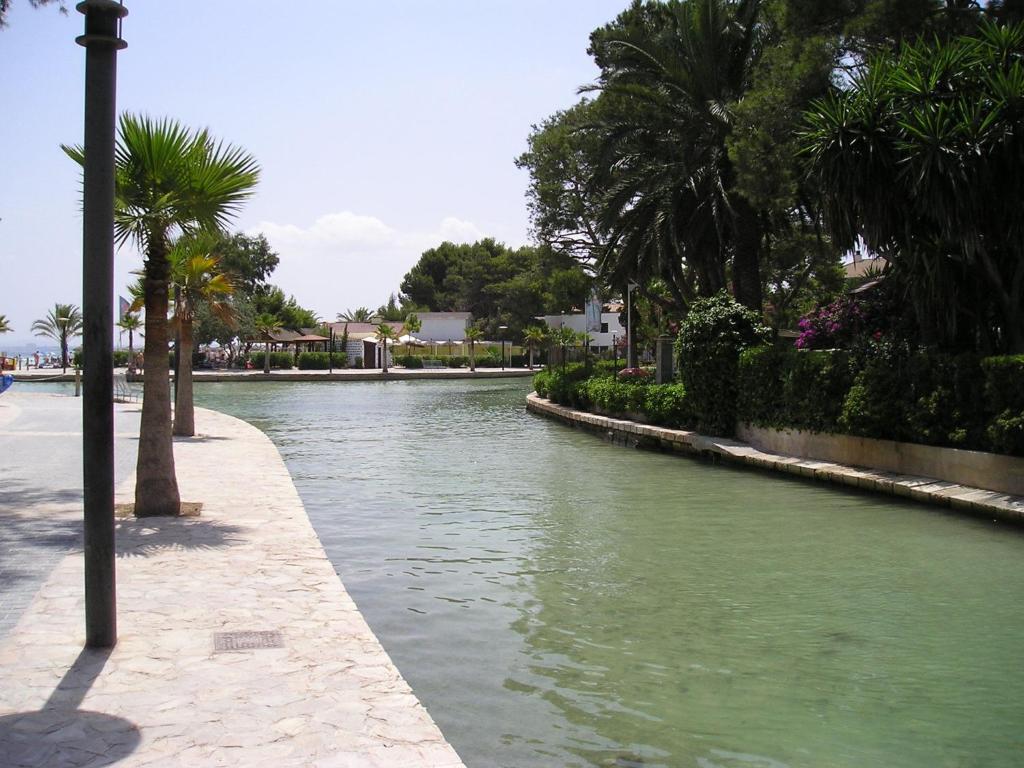 Apartaments Ses Dalies بورت ذالكوذيا المظهر الخارجي الصورة