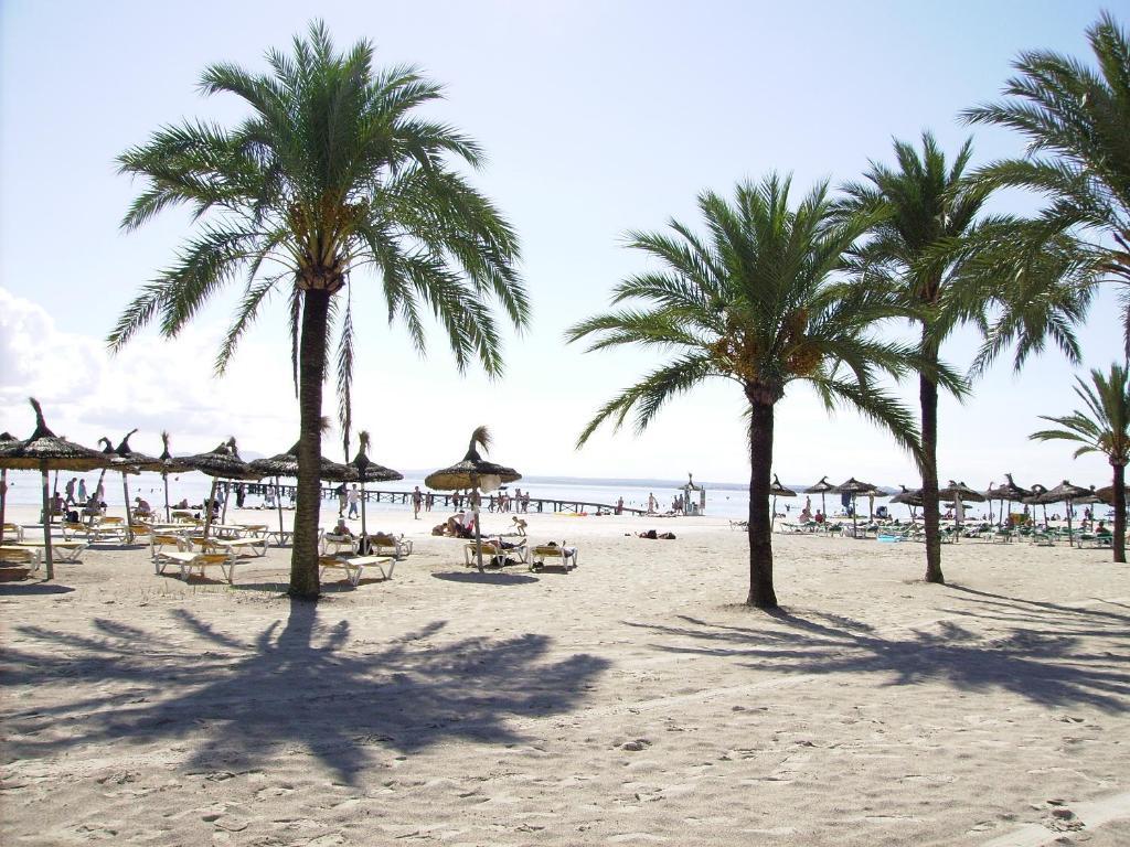 Apartaments Ses Dalies بورت ذالكوذيا المظهر الخارجي الصورة